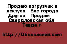 Продаю погрузчик и пектуса - Все города Другое » Продам   . Свердловская обл.,Тавда г.